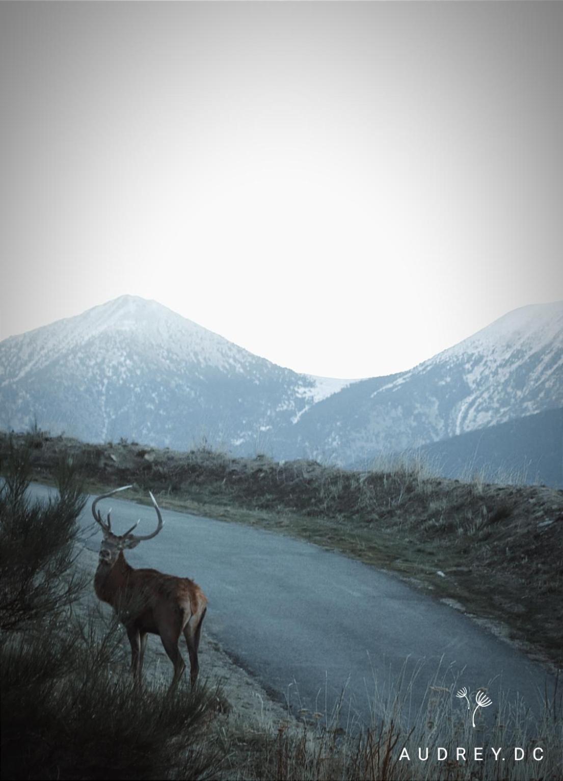 Les Temples Du Soleil Font-Romeu-Odeillo-Via